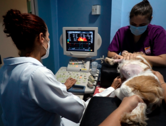 Ecodopplercardiograma 