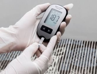 Endocrinologia Veterinária 