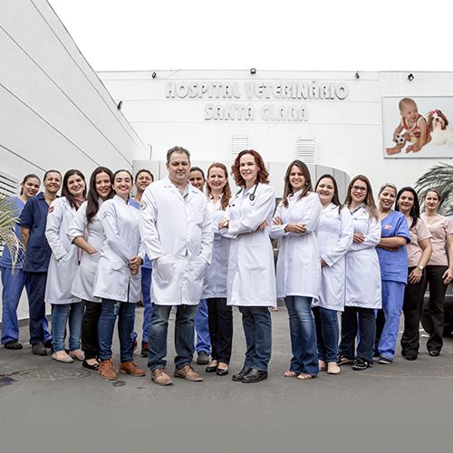 Hospital Veterinário Santa Clara