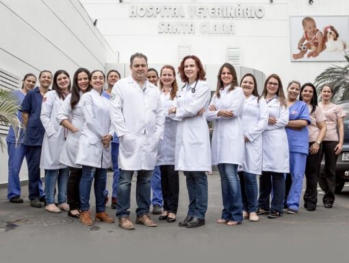 Apoio aos Clínicos