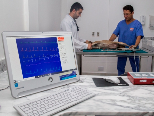 Eletrocardiografia