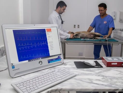 Eletrocardiografia