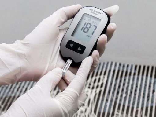 Endocrinologia Veterinária